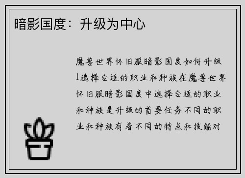 暗影国度：升级为中心